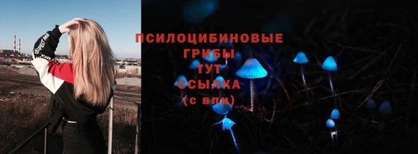 бутират Осинники