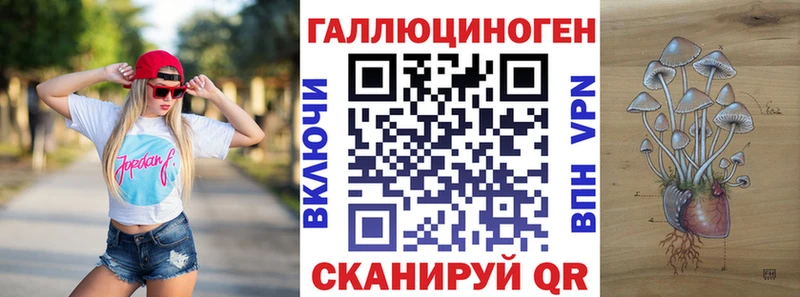Галлюциногенные грибы Psilocybe  Западная Двина 